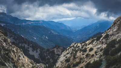Angeles National Forest