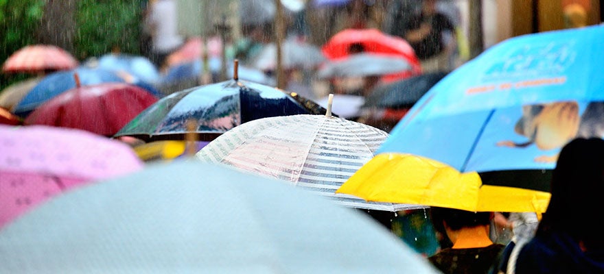 2019 Edition Medi Cal Facts And Figures California Health Care