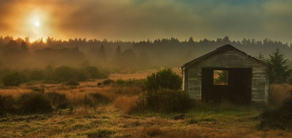 rustic shed in meadow