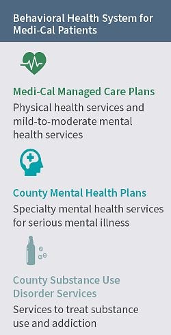 Describes the three behavioral health systems that serve Medi-Cal patients