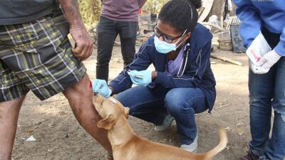 medical personnel assist people experiencing homelessness, living in an encampment
