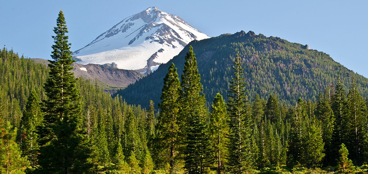 Mt. Shasta, Northern California