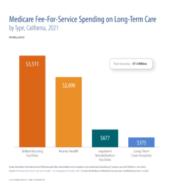 Medicare Fee-For-Service Spending on Long-Term Care by Type, California, 2021