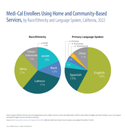 Medi-Cal Enrollees Using Home and Community-Based Services, by Race/Ethnicity and Language Spoken, California, 2022