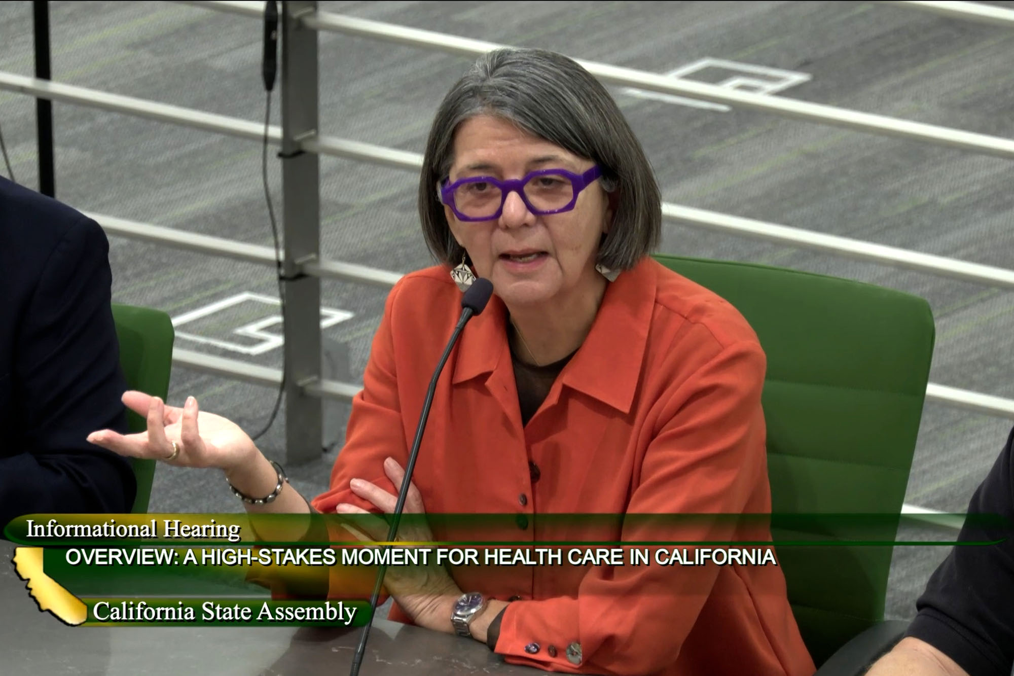 Dr. Sandra R. Hernández speaks at California State Assembly Health Informational Hearing